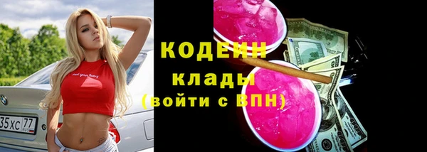 крисы Баксан