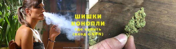крисы Баксан