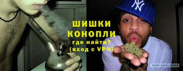 крисы Баксан