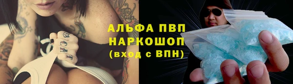крисы Баксан