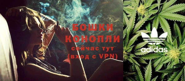 крисы Баксан