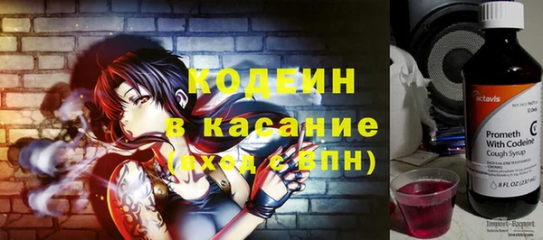 крисы Баксан