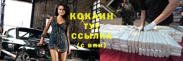 крисы Баксан