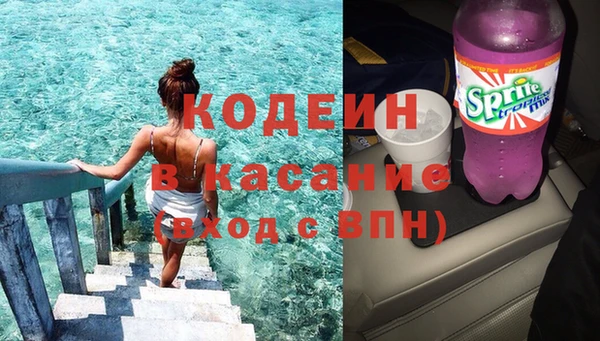 крисы Баксан