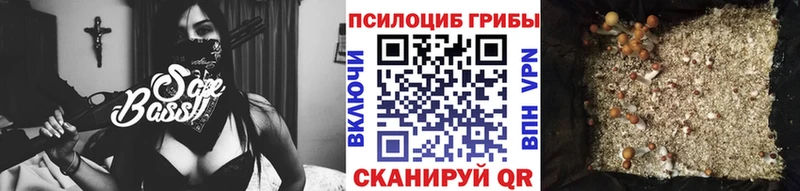 Псилоцибиновые грибы Psilocybine cubensis  Усть-Катав 